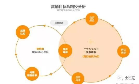 互聯網+合作社 新型農業開啟致富新篇章，數據處理服務成為關鍵引擎